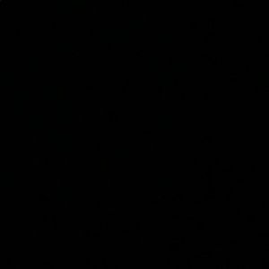 Meet your Posher, Lenny